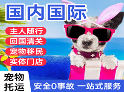 烟台蓬莱机场托运国际宠物托运 【国